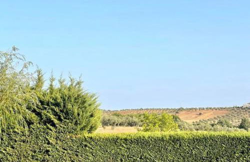 Casa das Oliveiras - Foto 43