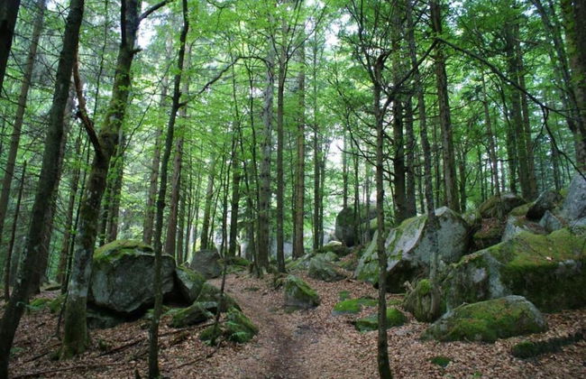 Lush Apartment in Furtwangen near Black Forest with Balcony - Foto 32