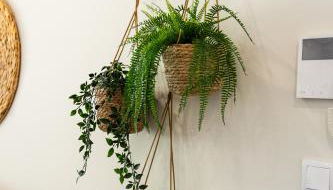 Aurora do Furadouro - Foto 4