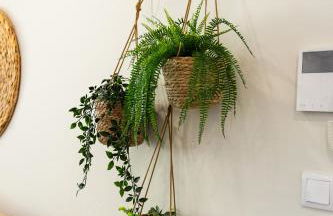 Aurora do Furadouro - Foto 4