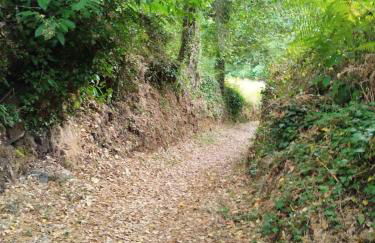 Apartamento Rural El Rinconcito - Foto 23