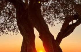 Appartamento Elena - Foto 47