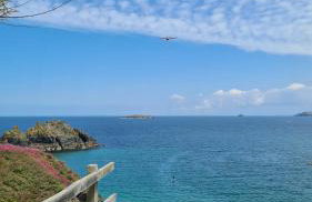 Detached Bungalow in North Cornwall - Foto 47