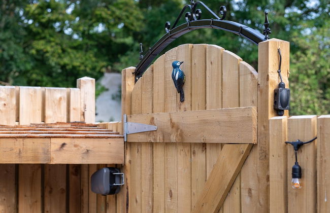 Woodpeckers in Marldon - Foto 25