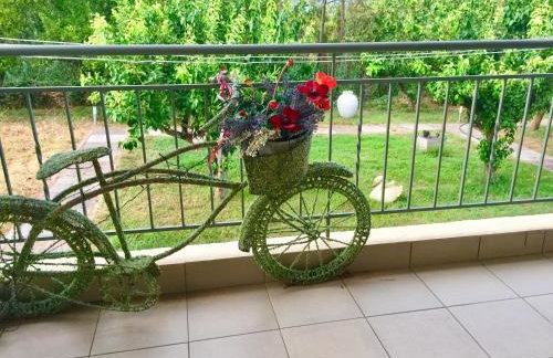 Villa Sofia - Foto 21