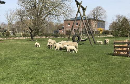 Ferienhof Anke Thiede - Foto 16