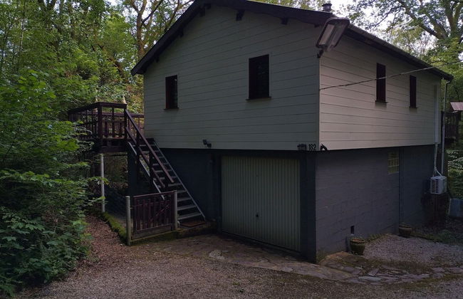 Chalet Vogelzang in the Ardennes - Foto 23