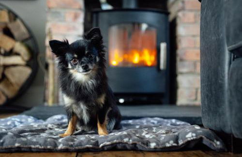 3 Bedroom Pembrokeshire Cottage - Beaches, Coastal path walks, Castles nearby - Foto 30