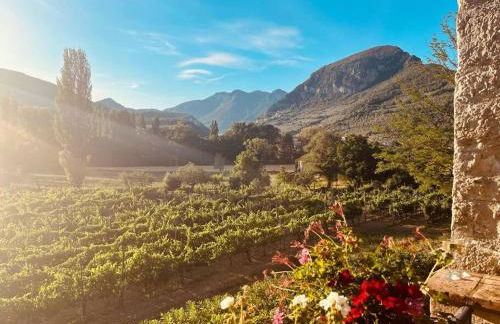 Casale I Melograni - Foto 10