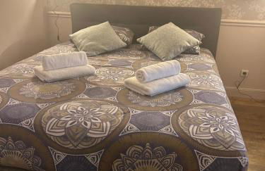 Ancien Atelier Parisien Grand 2 pièces - Foto 12