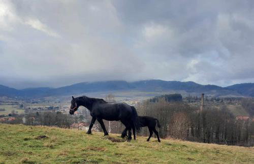 Domek Ostoja - Foto 62