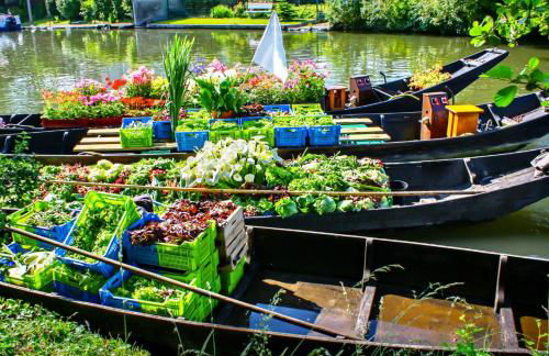 Soleil levant - T2 avec terrasse proche Gare - Foto 35