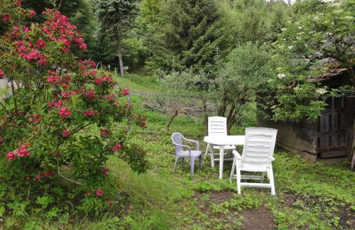 ruhiges Wohnen am Lama und Maine Coon Hof in Alleinlage in Biederbach 3 Zimmer mit Kochgelegenheit Bad - Foto 65