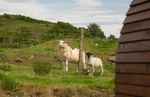 Countryside Farm Pod on Isle of Seil - A - Foto 20
