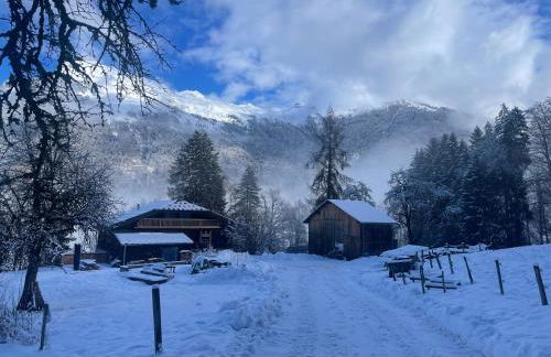 Le Chalet de Bémont - Foto 23