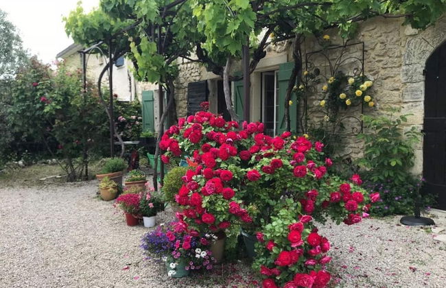 Oud Wijnhuis Mas - Foto 24