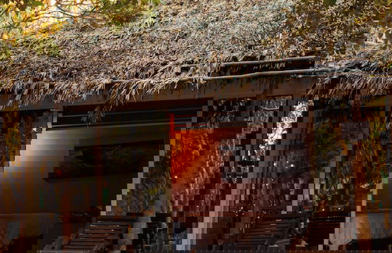 Palm Valley Cabins - Foto 44