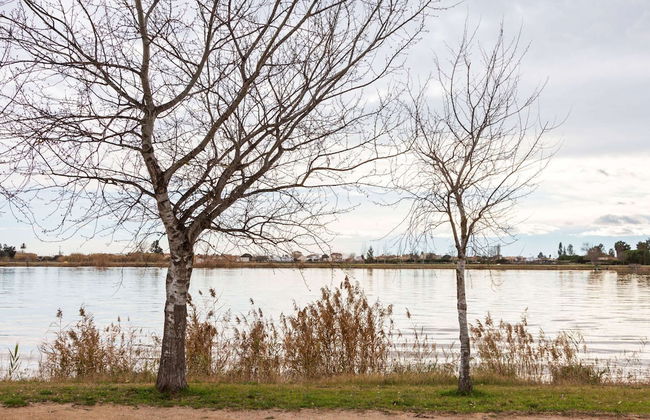 Cottage in Deltebre Near Far del Fangar - Foto 33