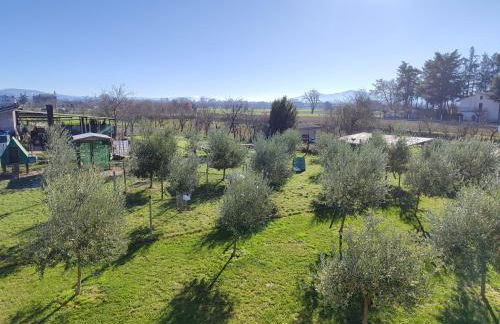 Villa Gaia Truffle Experience - Photo 41