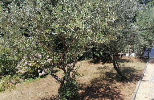 Apartment Ena - Foto 8