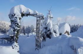 Fewo Fuchs - Foto 38