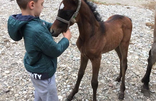 Rafting Camp Encijan - Photo 45