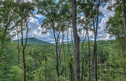 Such a View - Foto 44