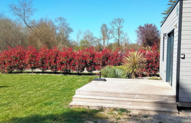 Les Logis de la Seugne - Foto 14