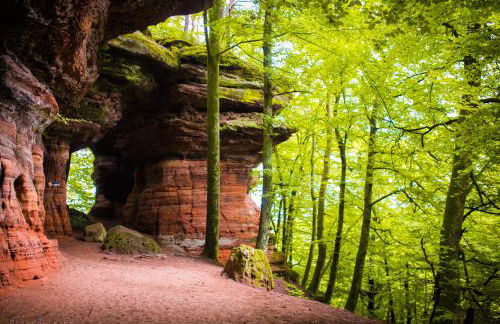 L’Atelier de Gustave - Foto 48