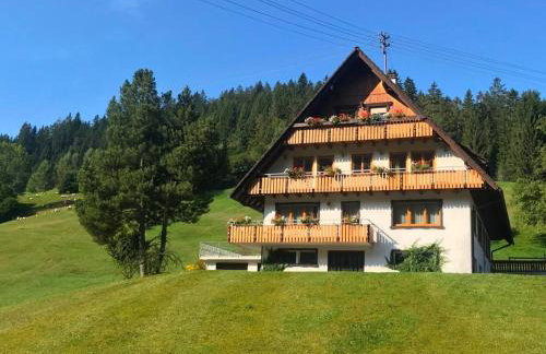 Gästehaus Brigitte Schoch - Foto 13