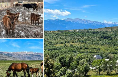 El Refugio de Enveitg - Foto 2