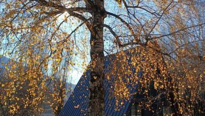 Le ChAlet N5 - Foto 4