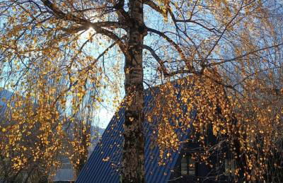 Le ChAlet N5 - Foto 4