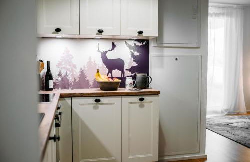 Schwarzwald Apartment mit Balkon-Garage-Aufzug - Foto 9