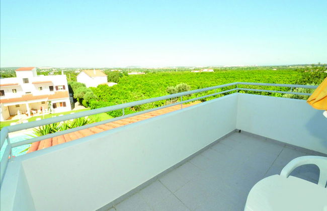 Flor da Laranja - Foto 51