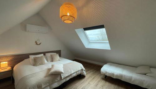 Les oiseaux du paradis - Foto 3