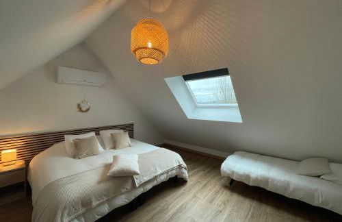 Les oiseaux du paradis - Foto 3