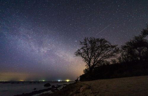 Seglerblick - Foto 14