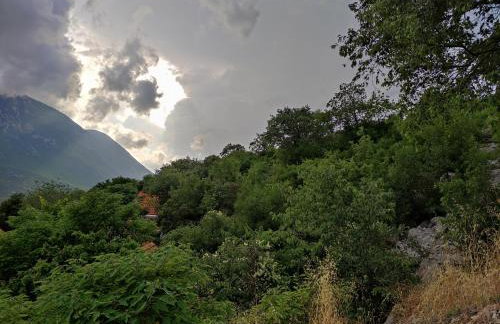 Mira 1 - Foto 2