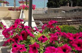 Palazzo Reginella Residence Hotel - Foto 55