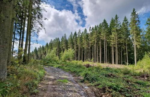 Glamping Tent in the Ardennes - Foto 17