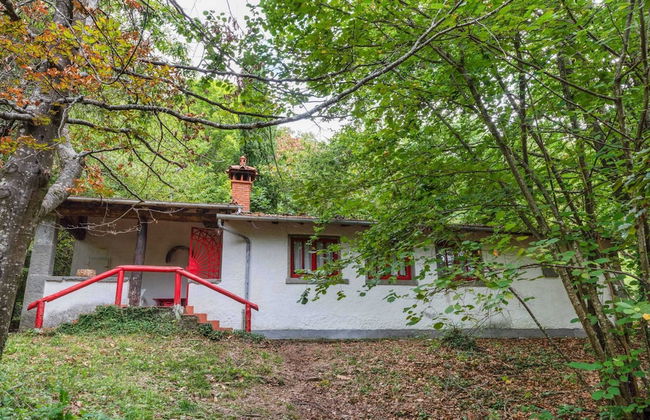 Vintage Vacation Home - Photo 32