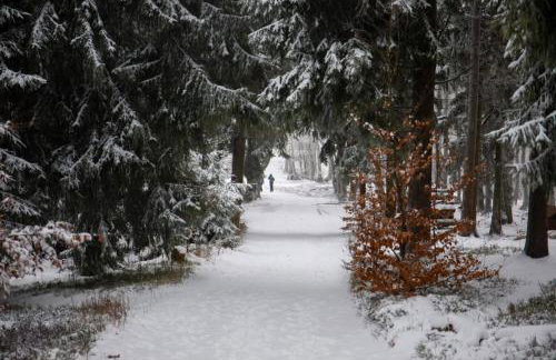 Blu Apartments - Foto 43