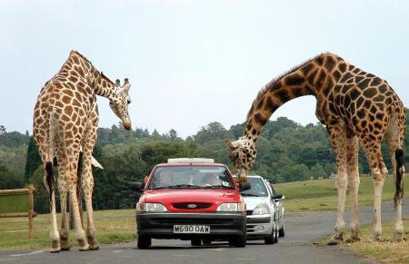 Spacious & comfy Home- very close to NEC Birmingham ,HS2 & Airport- Perfect for contractors & groups- free parking & Fast WiFi - Foto 6