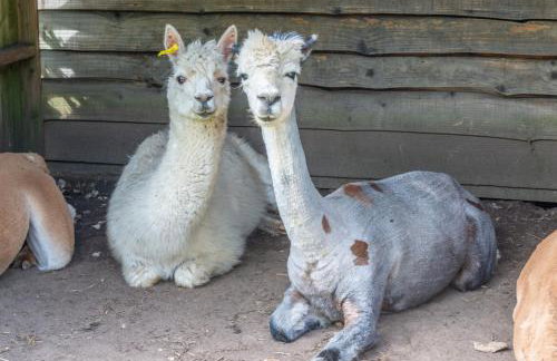 Nutley Farm - Foto 30