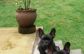 La Luciole Ecolodge - Foto 36