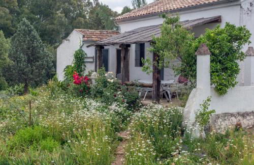 La Umbría de la Ribera - Foto 37