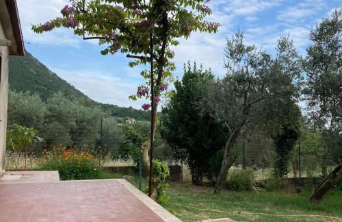 Casa Sisù-Appartamento immerso negli ulivi - Foto 32