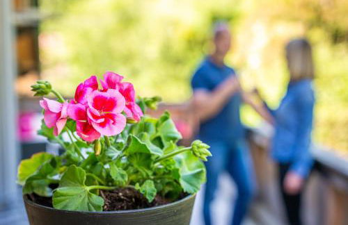 Der Hochsitz - Foto 19