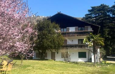 Apartment Sonne auf Bio-Hof - Foto 27